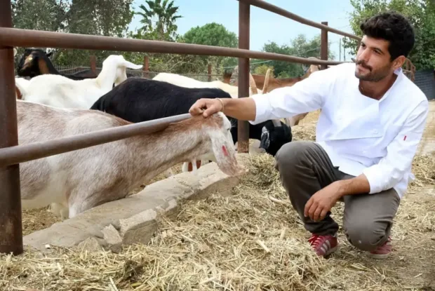 לאחר הזכייה במאסטר שף: הלל גרדי מגיע לבשל לכם לאחר הזכייה במאסטר שף: הלל גרדי מגיע לבשל לכם