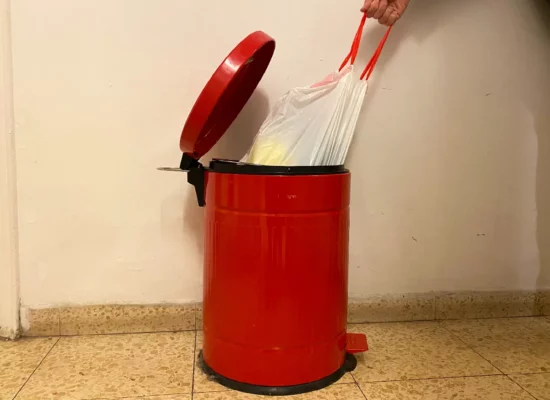 איך להעלים ריח רע מפח האשפה