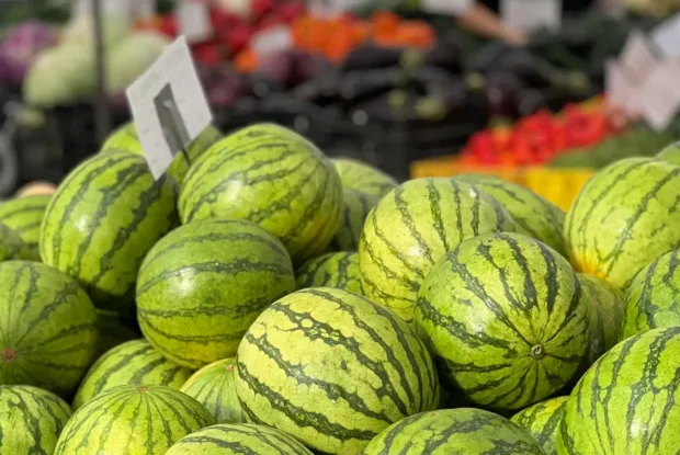 בוחרים אבטיח מושלם: 5 טיפים מנצחים בוחרים אבטיח מושלם: 5 טיפים מנצחים