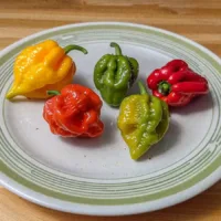 הפה בוער? 5 דרכים להציל ולתקן מנה חריפה מדי ברגע