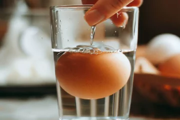 איך לבדוק אם ביצה טרייה או מקולקלת?