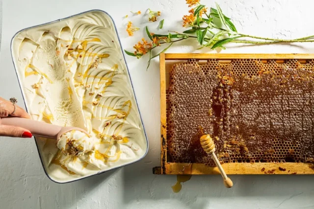 חדש על המדף לראש השנה 2023 ולחגי תשרי