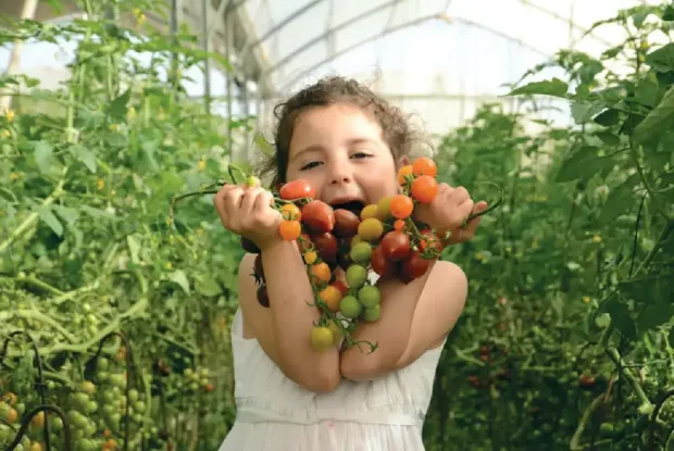 סדנאות, סיורים וטעימות: אירועי אוכל בחול המועד פסח 2024 סדנאות, סיורים וטעימות: אירועי אוכל בחול המועד פסח 2024