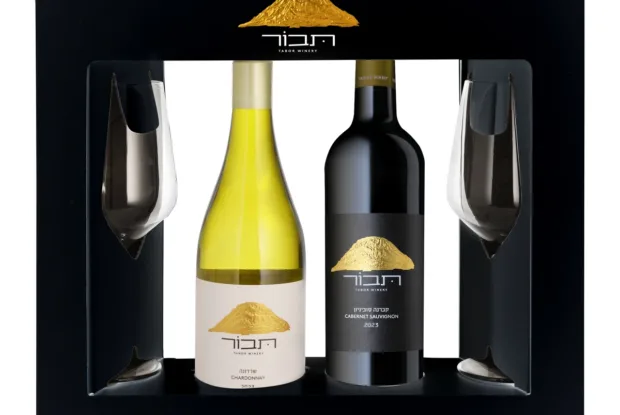 היינות הכי שווים לפסח 2025 – מה למזוג בכל כוס? היינות הכי שווים לפסח 2025 – מה למזוג בכל כוס?