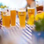 כוסות בירה ויינשטפן