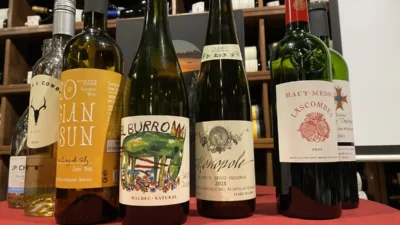 קטלוג היינות של שקד 2026