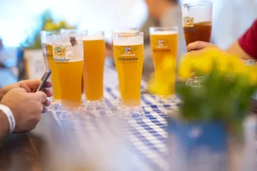 כוסות בירה ויינשטפן