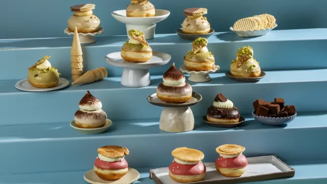 קולקציית הסופגניות של ביסוקטי