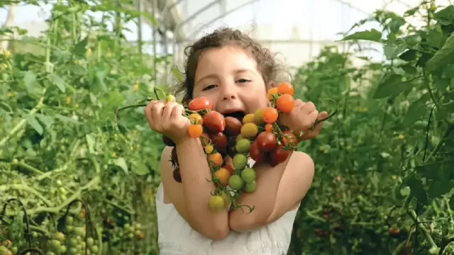 פסח 2024: סדנאות, סיורים ואירועי אוכל בחול המועד