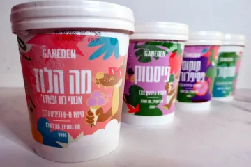 הגלידות הטבעוניות של GANEDEN