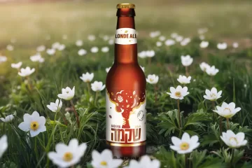 בירת שקמה בלונד אייל בשדה פרחים