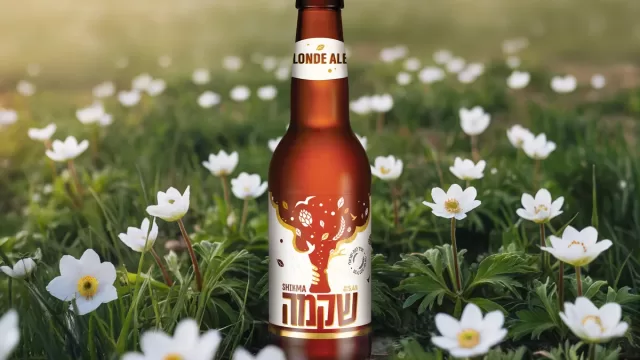 בירת שקמה בלונד אייל בשדה פרחים